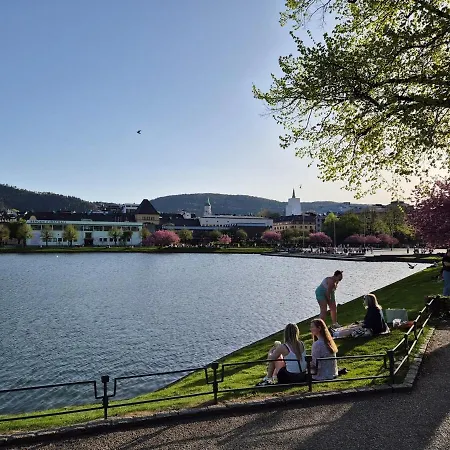 Apartman 2-roms Med Spektakulaer Utsikt Og Privat Hage Bergen