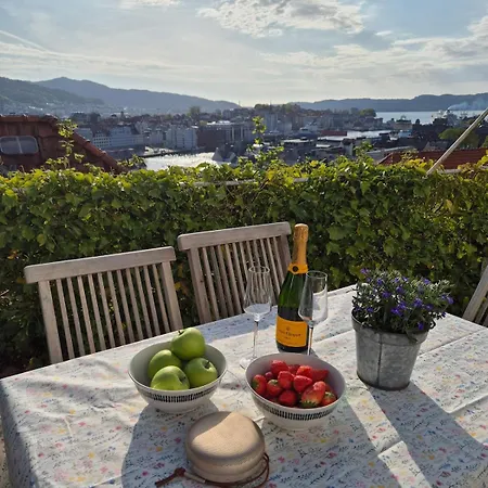 2-roms Med Spektakulaer Utsikt Og Privat Hage דירה