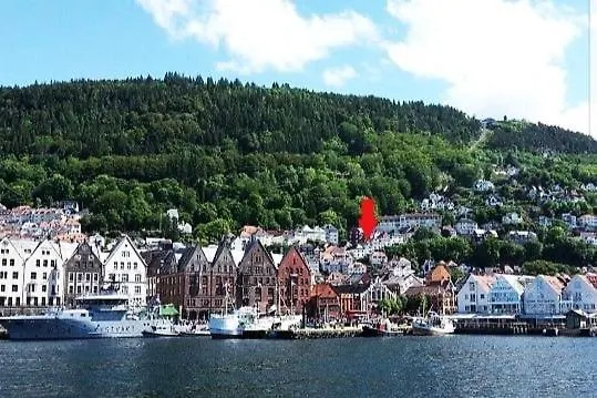 아파트 2-roms Med Spektakulaer Utsikt Og Privat Hage 베르겐